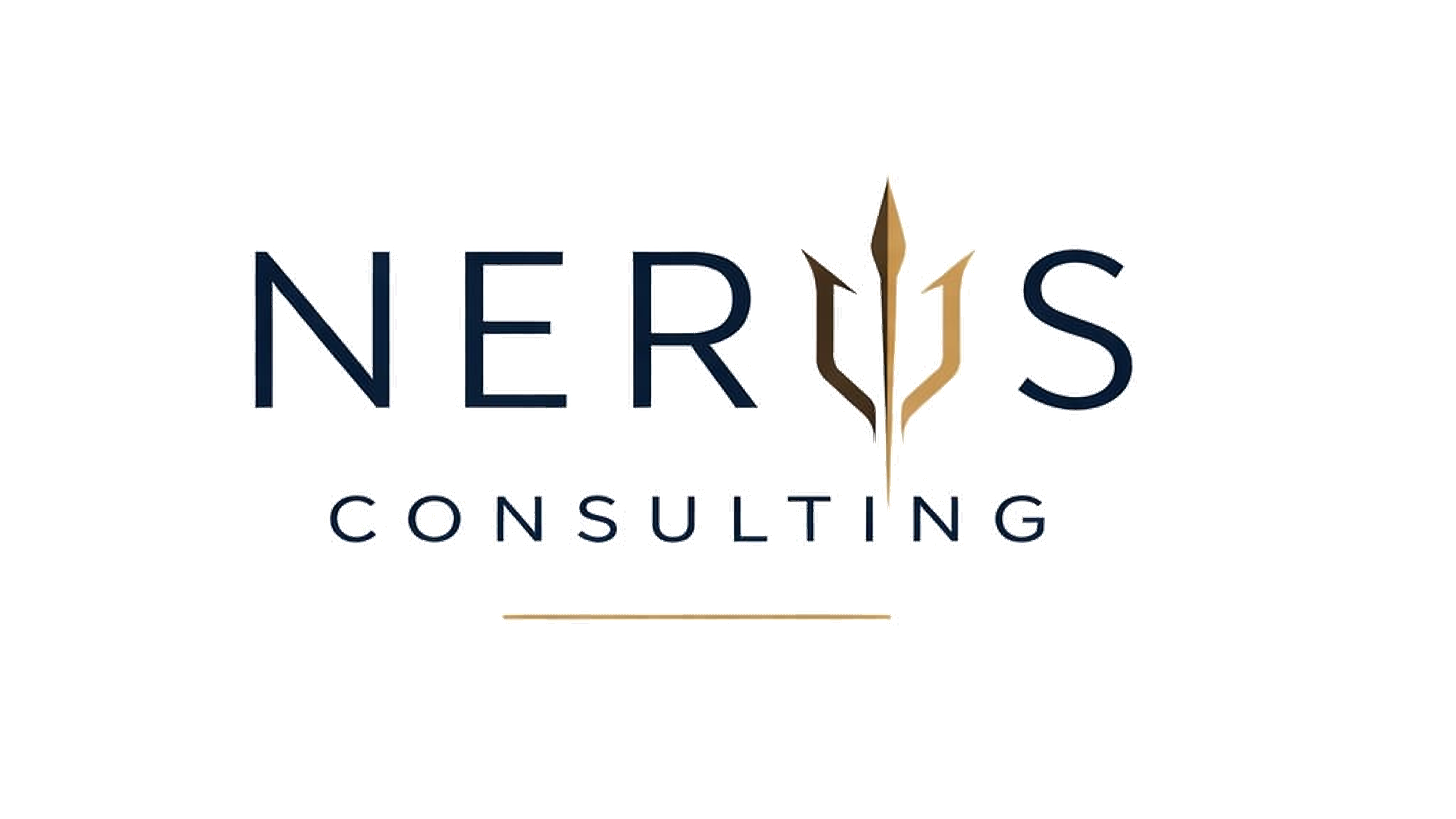 Neris Consulting
